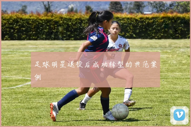 足球明星退役后成功转型的典范案例