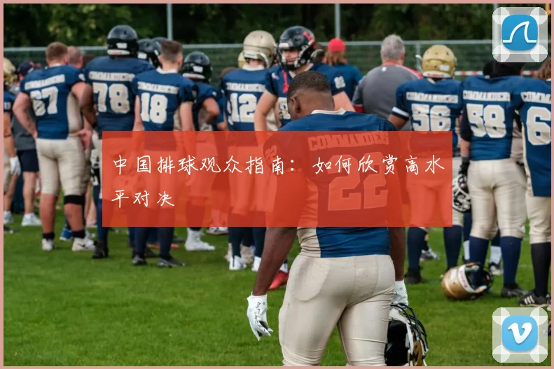 中国排球观众指南：如何欣赏高水平对决